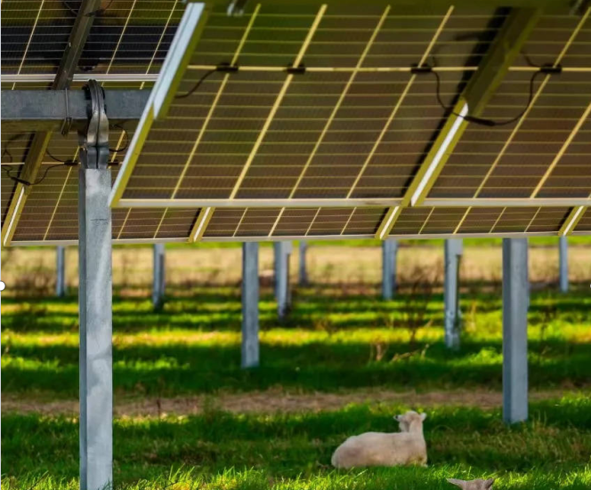 Fabricantes solares de nivel 1: iluminando la luz de la energía verde con energía innovadora