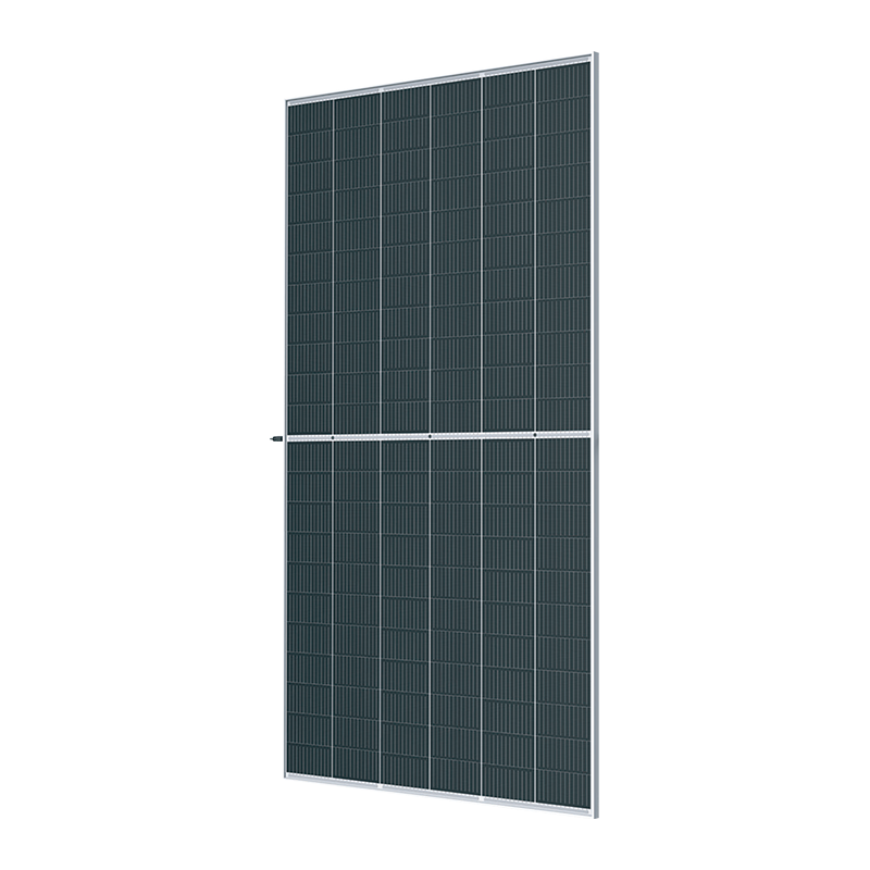SPxxx-132M12 (655-680W) Marco plateado Malla blanca